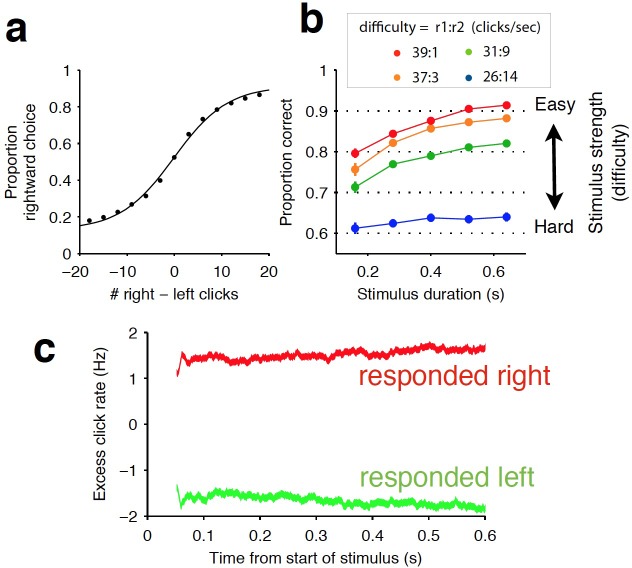 Figure 1—figure supplement 1.