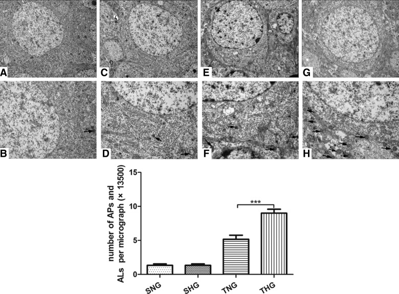 FIG. 6.