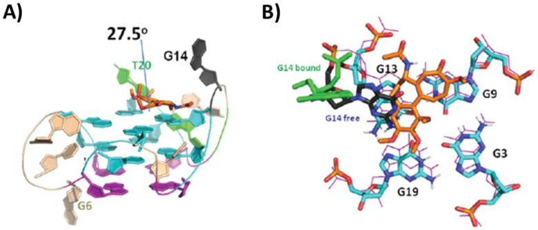 Figure 12