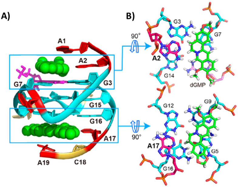 Figure 13