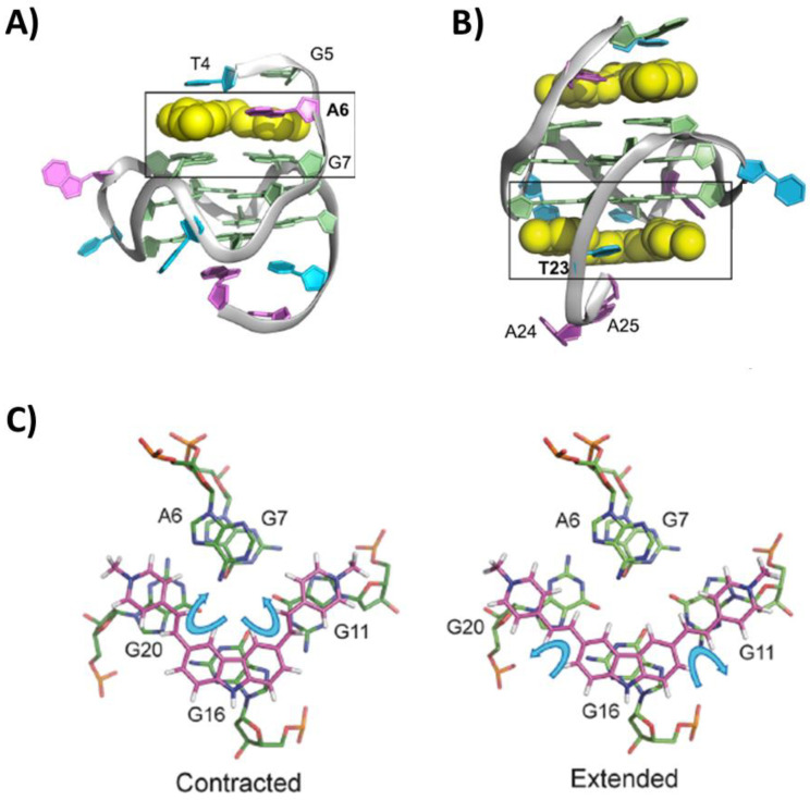 Figure 11