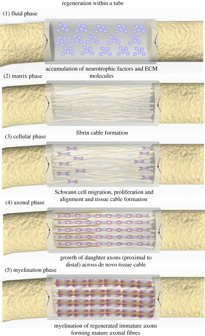 Figure 1.