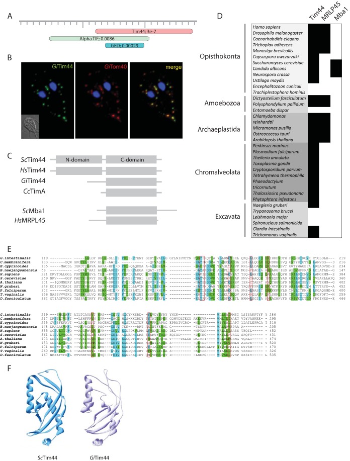 FIG 2