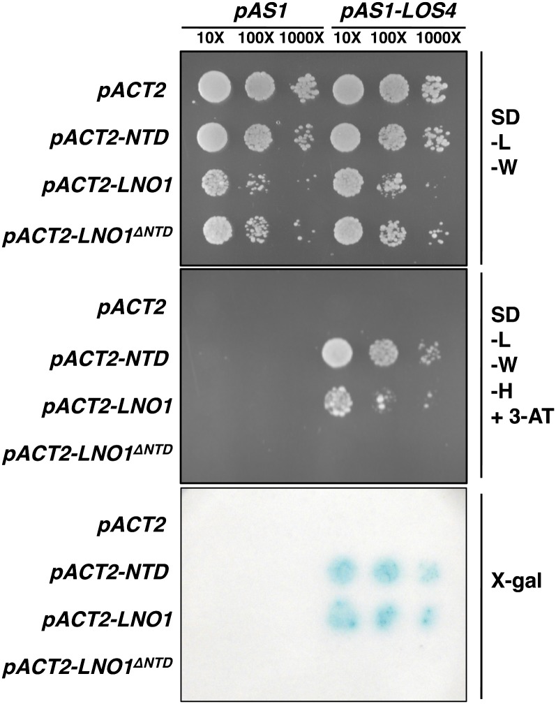 Figure 6.