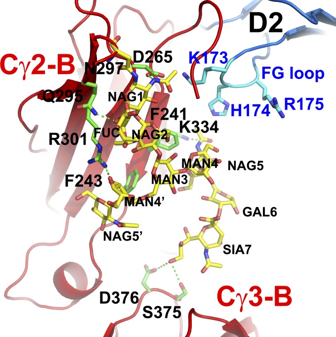 Fig. 4.