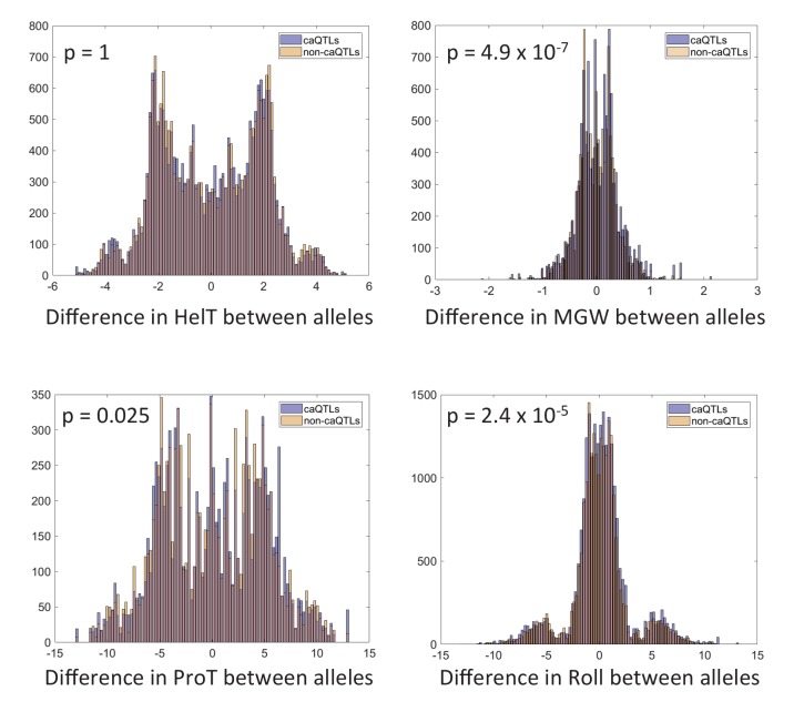 Figure 3—figure supplement 1.