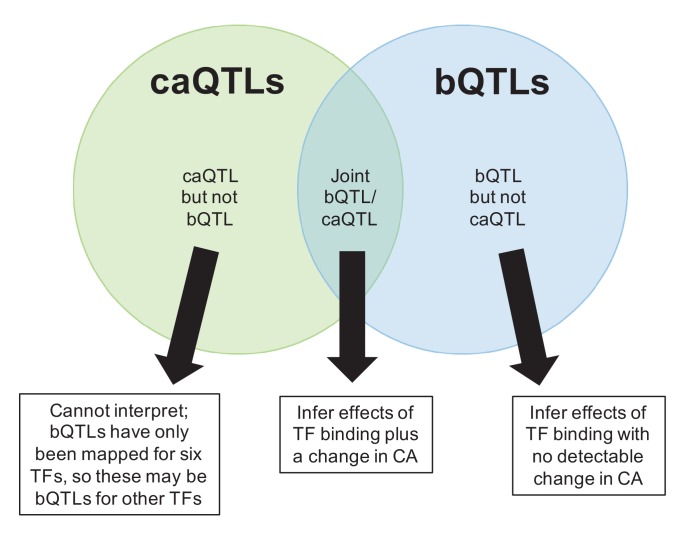 Figure 4—figure supplement 2.