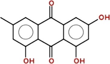 Fig. 1