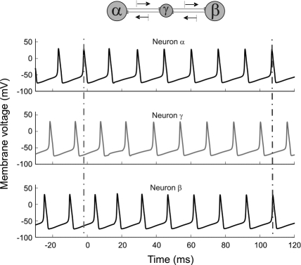 Fig. 1.