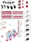 Extended Data Fig. 1