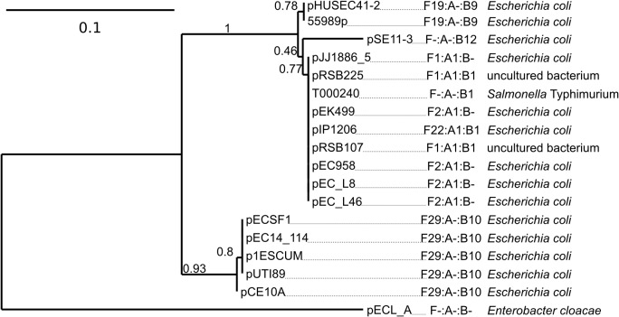 Fig 5