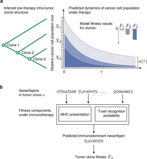 Figure 1 |