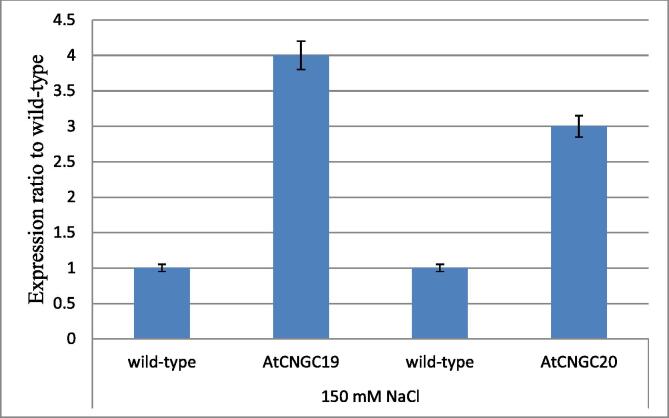 Fig. 7