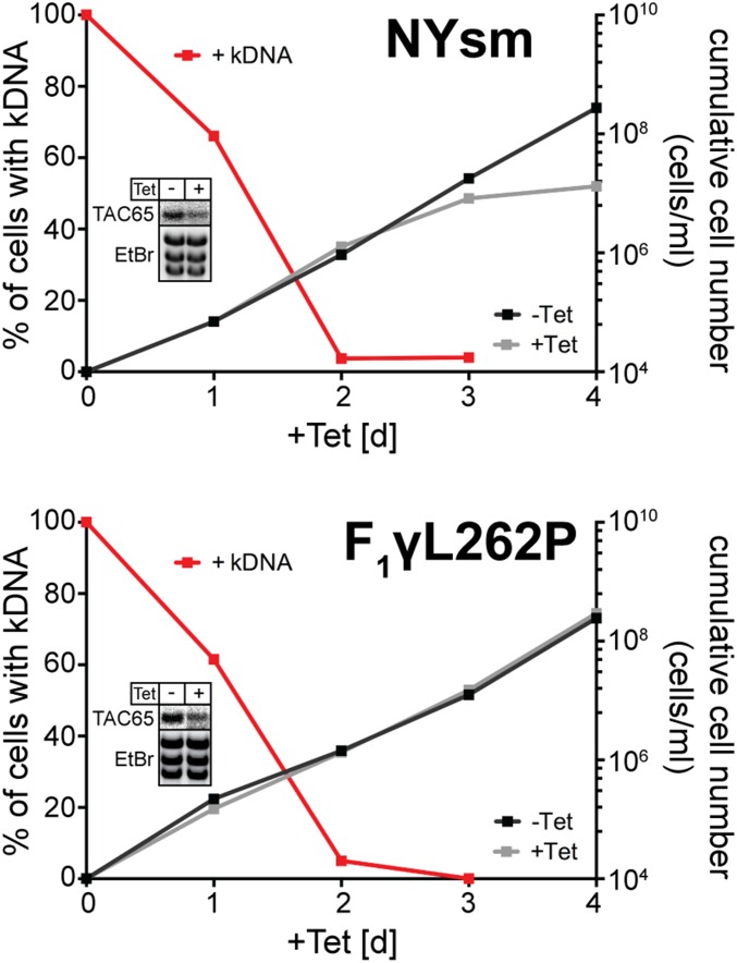 Fig. S4.