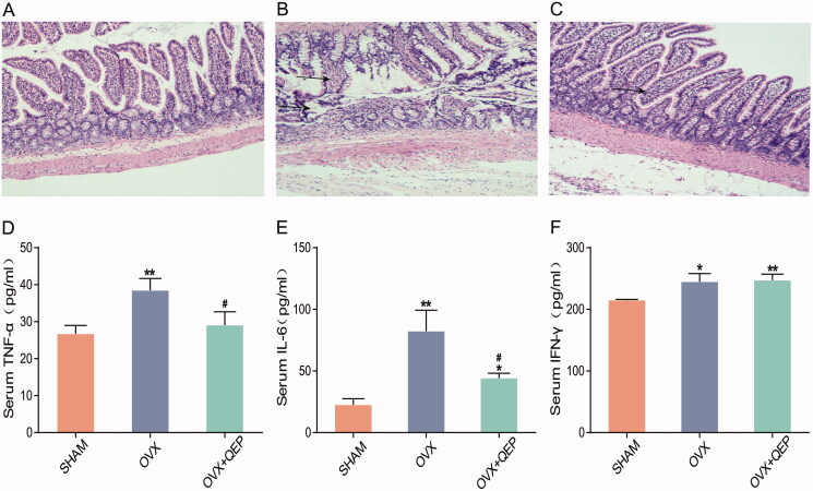 Figure 10.