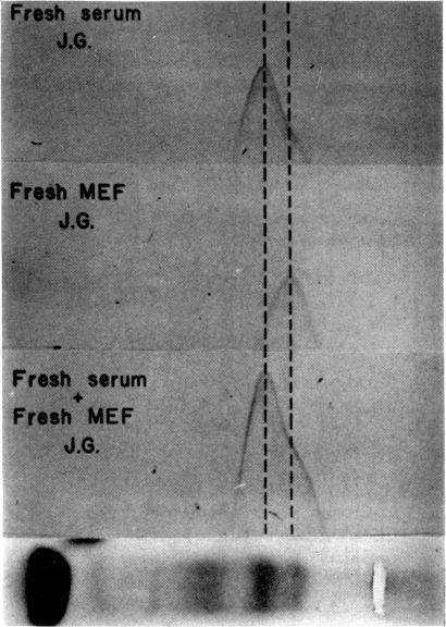 FIG. 5