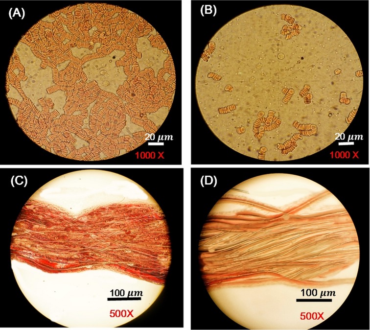 FIG. 10.