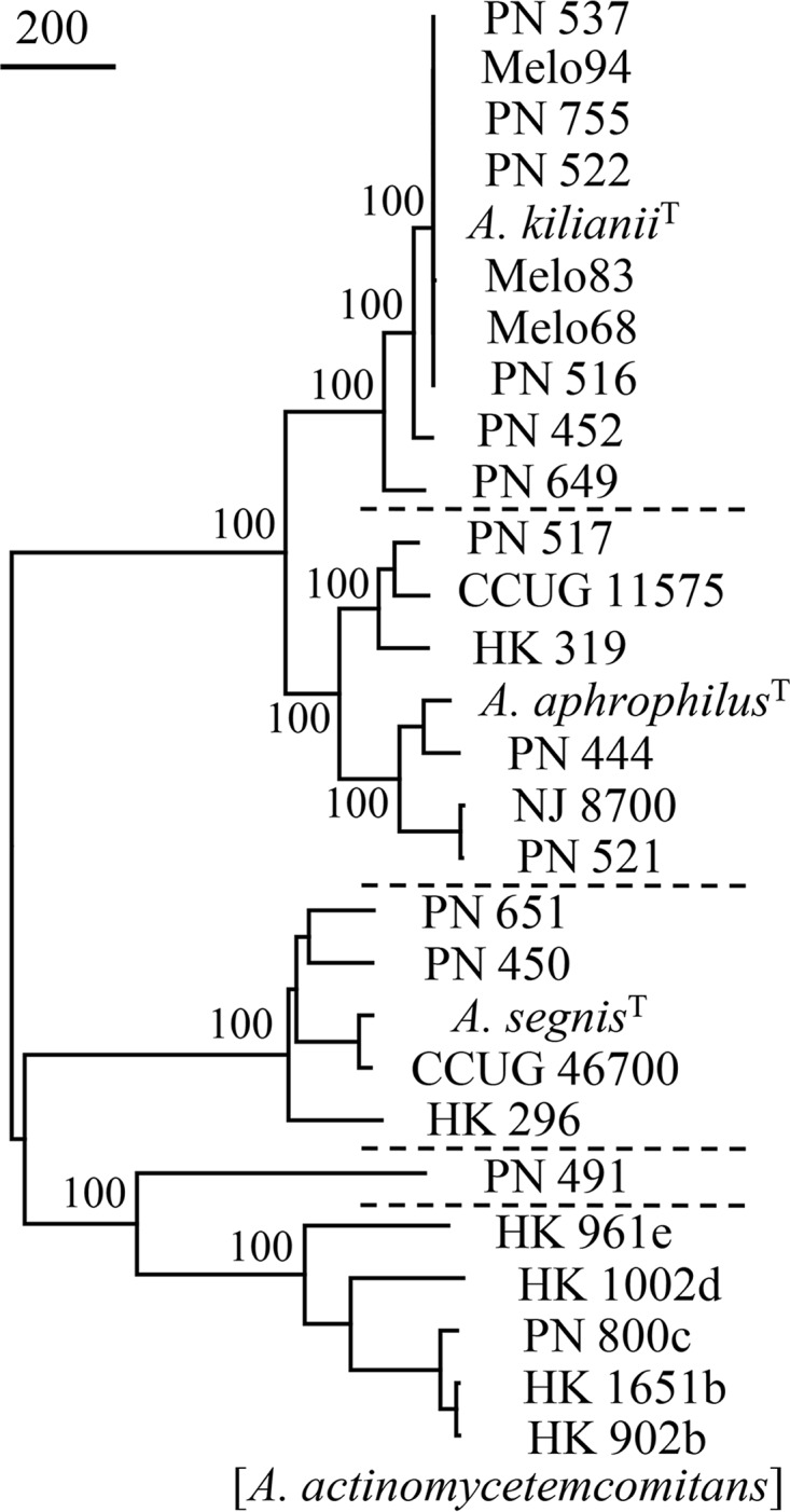 FIG 2