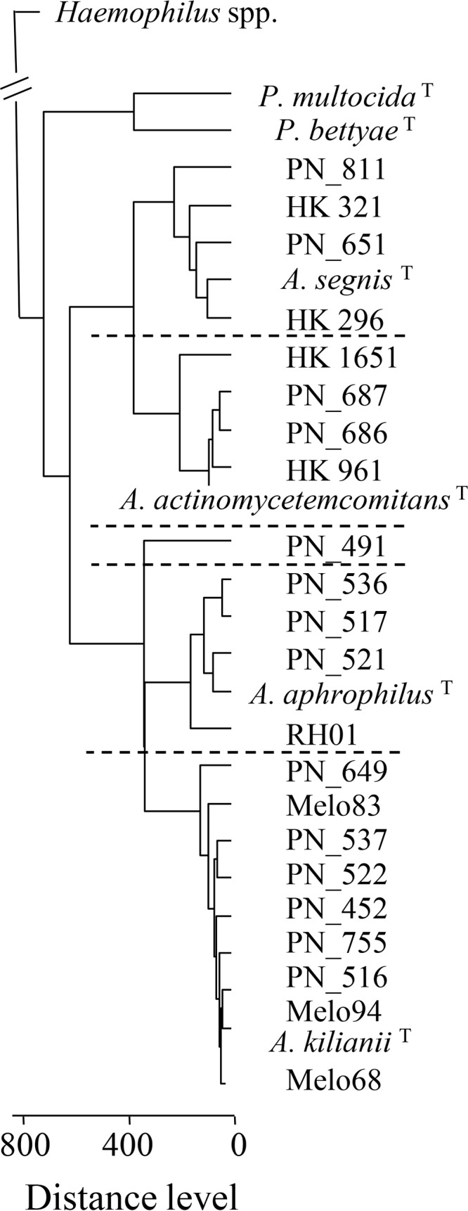 FIG 1