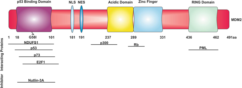 Figure 1: