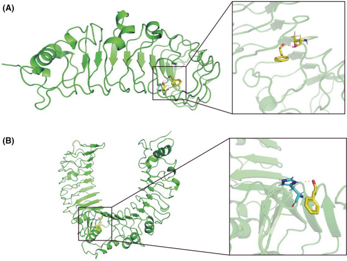 FIGURE 4