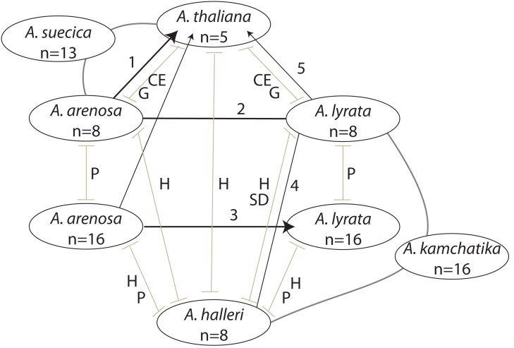 Figure 2: