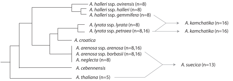 Figure 1: