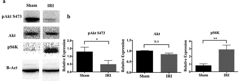 Figure 1|