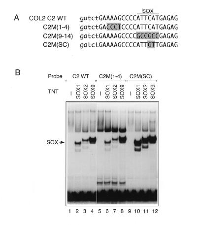 FIG. 6