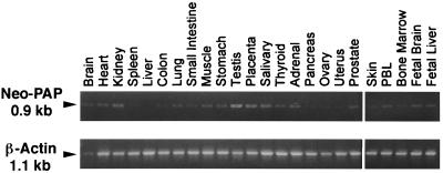 FIG. 7