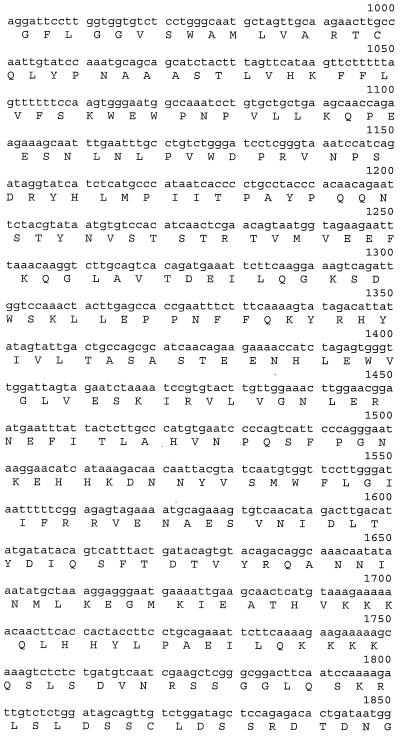 FIG. 1