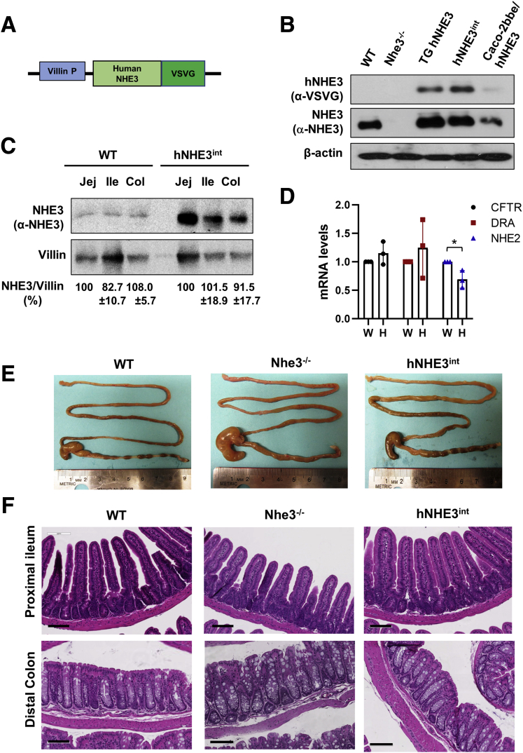 Figure 2