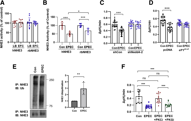 Figure 7