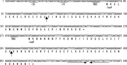 FIG. 2.