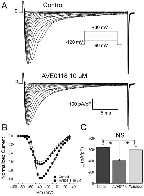 Figure 5