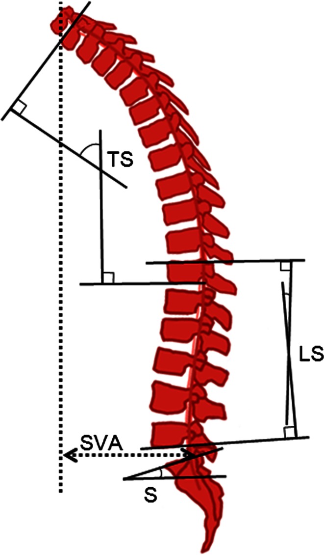 Fig. 1