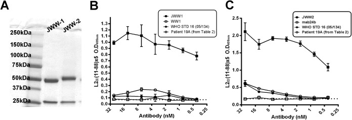 FIG 2