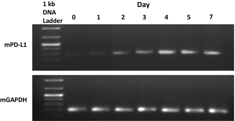 Fig. S2.