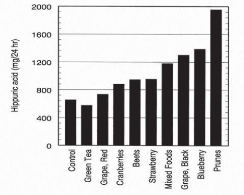 GRAPH 3