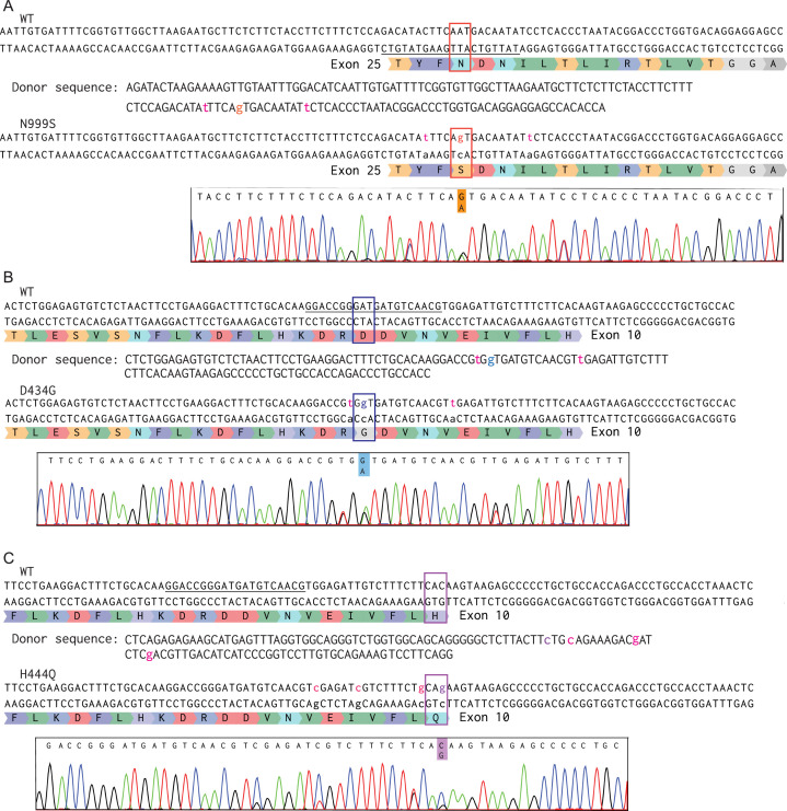 Figure 1—figure supplement 1.