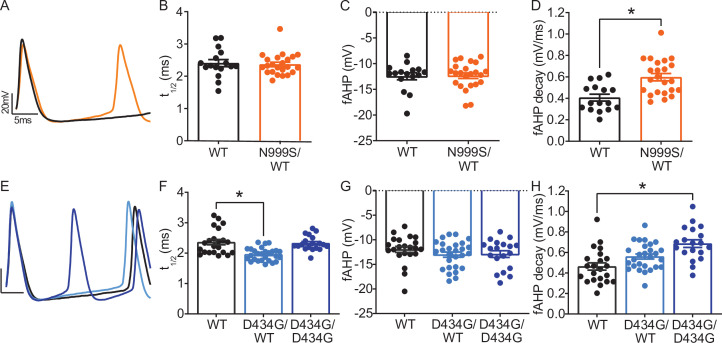 Figure 3—figure supplement 2.