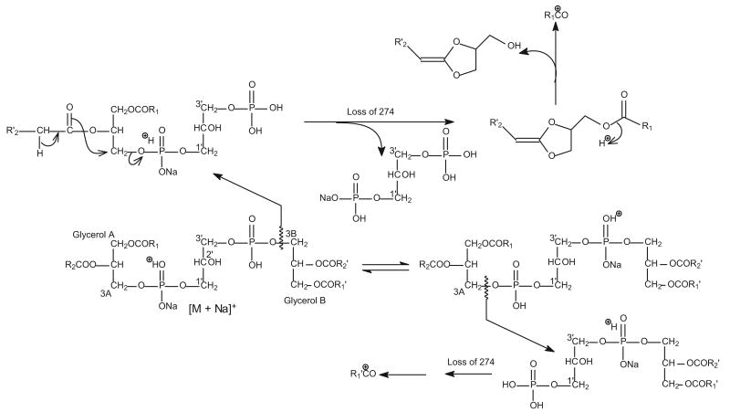 Scheme 3