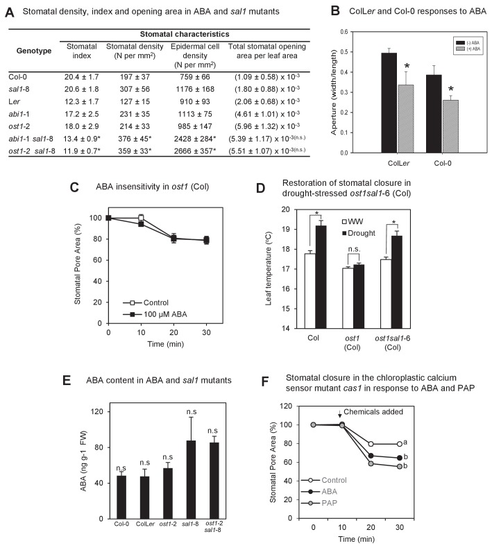 Figure 1—figure supplement 3.