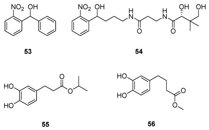 Scheme 13