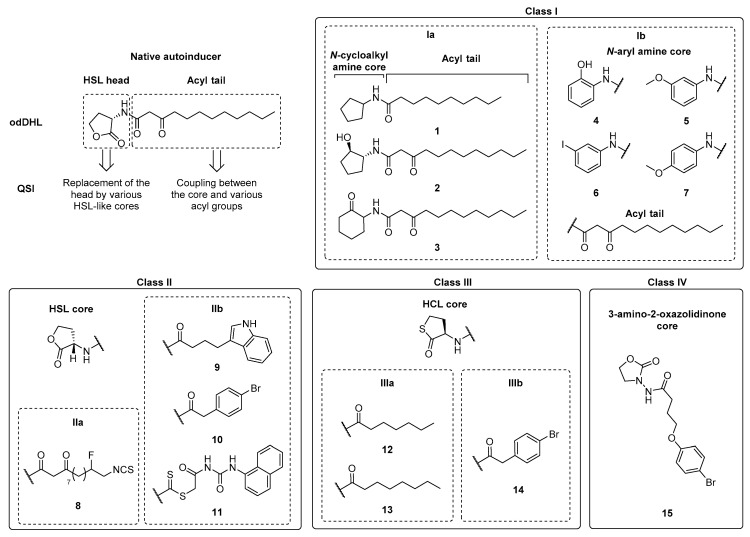 Scheme 5