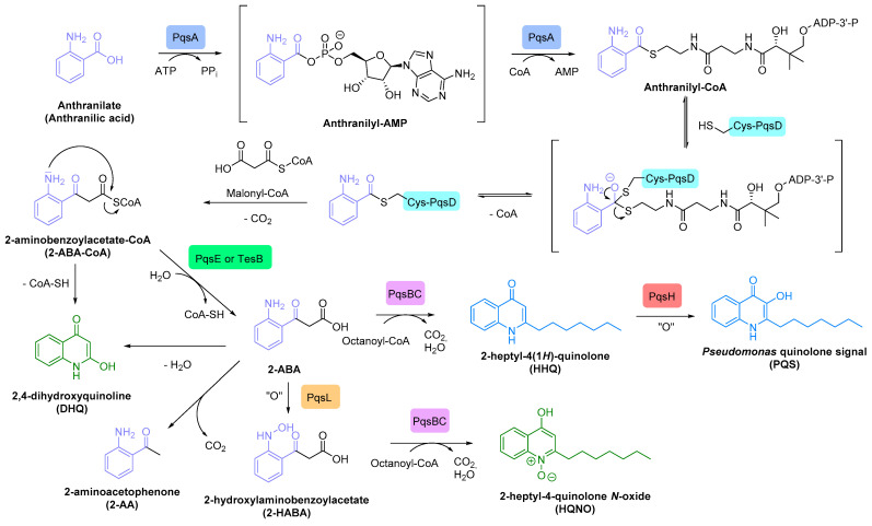 Scheme 4