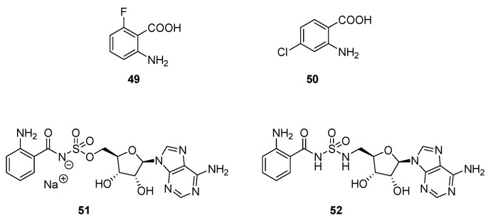 Scheme 12