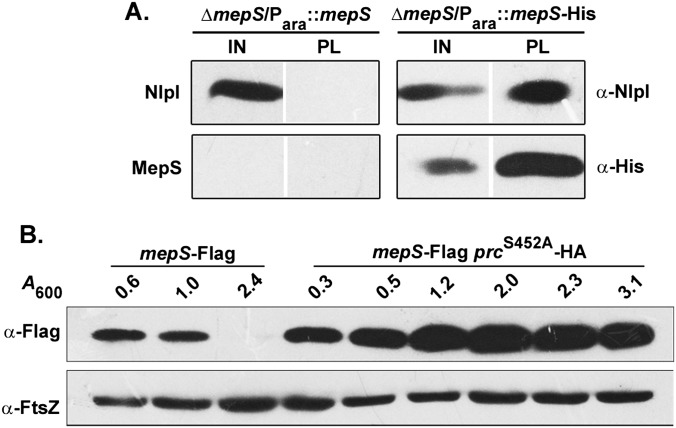 Fig. S5.