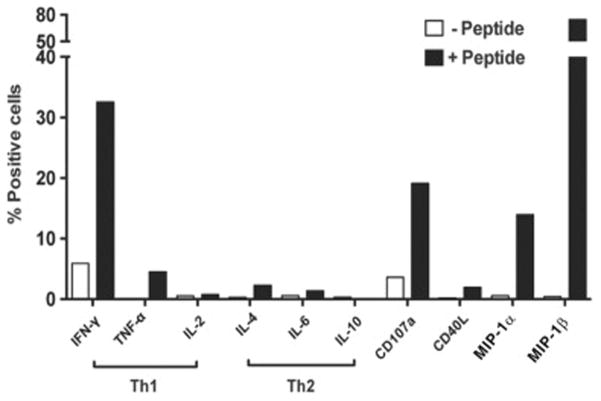 FIG 3