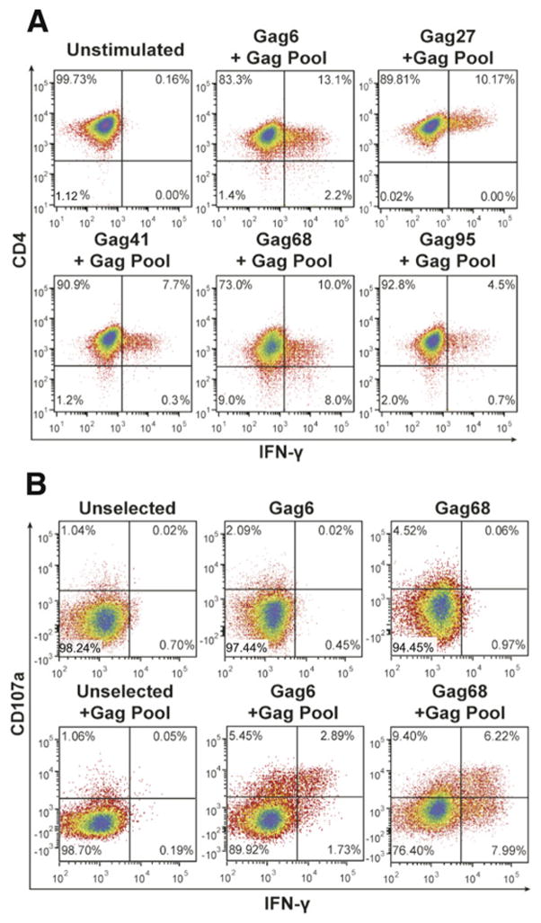 FIG 1